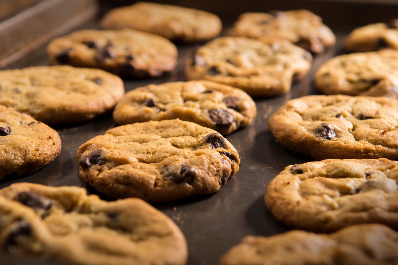 Chocolate Chip Cookies on pan